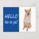 Suche nach shiba inu hund postkarten Denken sie
