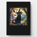 Recherche de chauve plaques Chat