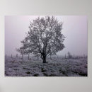 Suche nach winterlicher poster Winterlandschaft