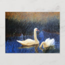 Recherche de roseaux cartes postales Oiseaux