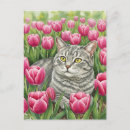 Suche nach graue katzen postkarten Haustier