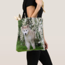 Suche nach normal taschen Hund