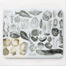 Suche nach zoologie mousepads Lithographie