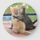 Suche nach bilder der katzen wanduhren Freunde