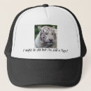 Recherche de chat tigré casquettes Félin
