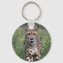 Recherche de guepard porteclés Pour tous