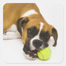 Suche nach tennisbälle aufkleber Kugel