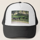 Recherche de clés casquettes Faune