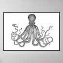 Recherche de poulpe noir et blanc posters Vie marine