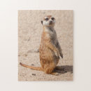 Suche nach meerkat puzzle Spaß