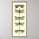 Recherche de insecte fait sur commande posters Collection