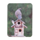 Suche nach vogelhaus magnete Vögel