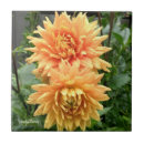 Suche nach regentropfen fliesen Blume