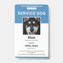 Recherche de services Bleu