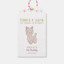 Recherche de cute llama Fiesta