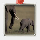 Recherche de le kenya ornements Animal