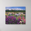 Suche nach lupinen poster leinwandbilder Natur