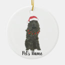 Suche nach spanisches weihnachten ornamente Malerei