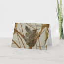 Recherche de colibri bleu cartes postales Animaux