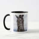 Recherche de oeil de cheval tasses Partie du corps animale