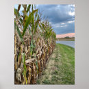 Suche nach maisfeld poster Natur