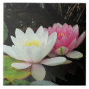 Suche nach wasser blume fliesen Blumen