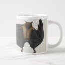 Recherche de ailes chauve souris tasses Animal