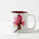 Recherche de orchidée violette tasses Botanique
