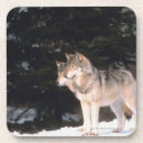 Suche nach grauer wolf untersetzer Natur