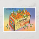Suche nach florida orangen postkarten Vintag