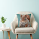 Recherche de écureuil adorable coussins Faune
