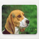 Recherche de mousepad beagle tapis souris Chien