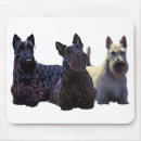 Recherche de écossais tapis souris Scottie
