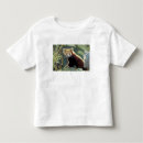 Recherche de panda roux tshirts Fourrure