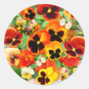 Suche nach stiefmütterchen aufkleber Blume