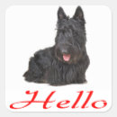 Recherche de scottish autocollants Chien