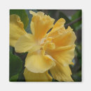 Recherche de de ketmie magnets Floral