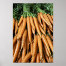 Recherche de nutrition art Nutriments