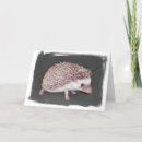 Suche nach hedgies karten Tiere