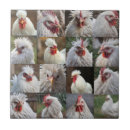 Suche nach huhn fliesen Weiß