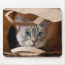 Suche nach braunes auge mousepads Farbbild