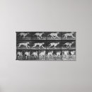 Suche nach animal leinwandbilder Hund