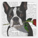 Suche nach boston terrier aufkleber Liebhaber