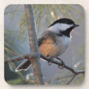 Suche nach bedeckt untersetzer Vogel