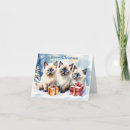 Recherche de de chaton noël cartes Chatons