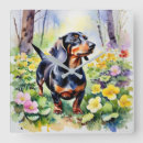 Recherche de chiens saucisse horloges Dachshund