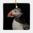 Recherche de macareux ornements Animal