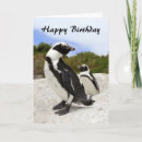 Recherche de penguin birthday Penguins