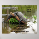 Recherche de alligator photographie Drôle