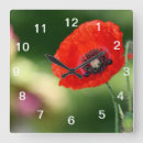 Suche nach red poppy wanduhren Flower
